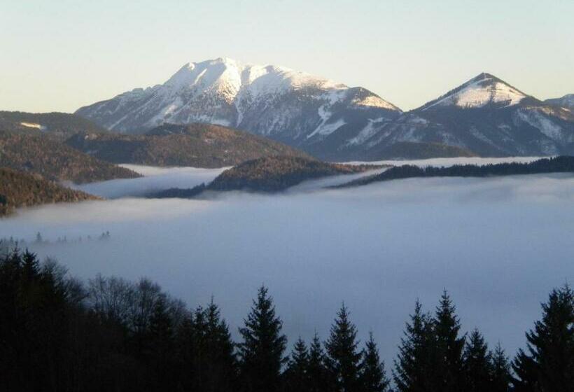 スタンダードルーム, Höhenstein