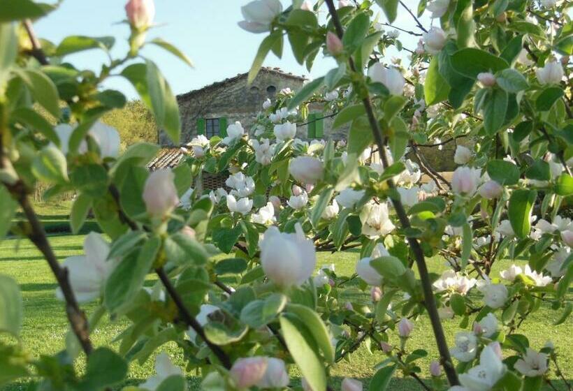 דירת שני חדרים, La Fontaiola