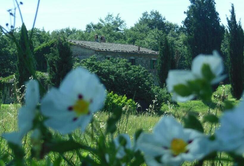 דירת שני חדרים, La Fontaiola