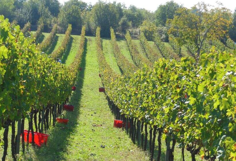 דירת שני חדרים, La Fontaiola