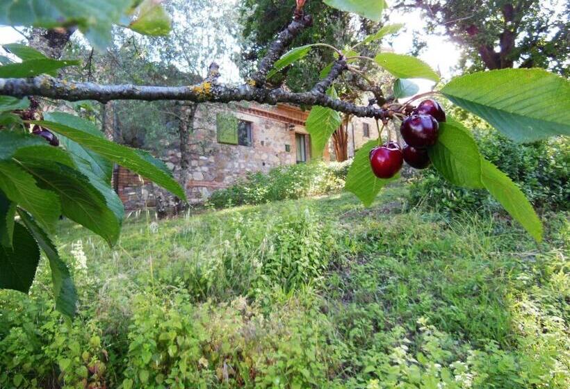 דירת חדר סופריור, La Fontaiola
