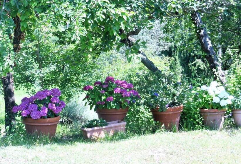 דירת חדר סופריור, La Fontaiola