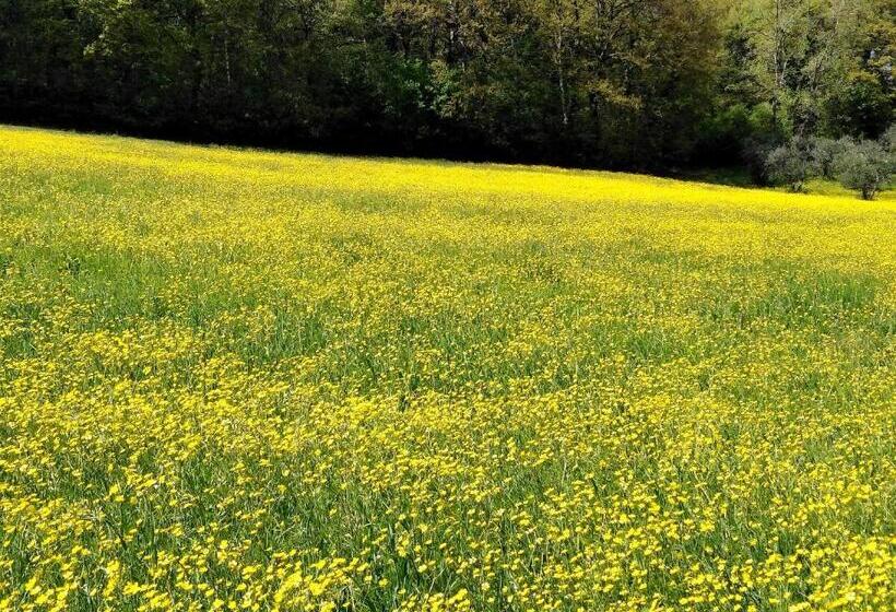 וילה עם חדר שינה אחד ובריכת שחיה, La Fontaiola
