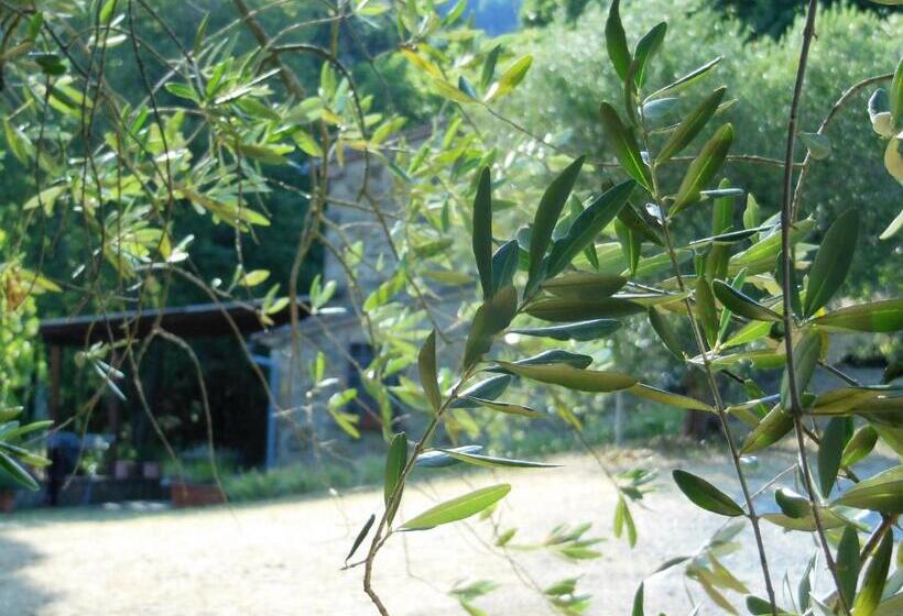 דירת דופלקס בת חדר שינה 1, La Fontaiola