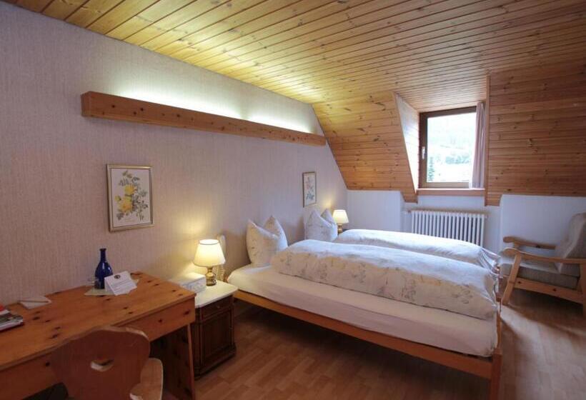 Номер Стандарт, Schweizerhof Sta Maria