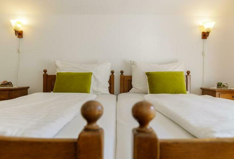 חדר סופריור עם נוף להרים, Zseri Vadászház