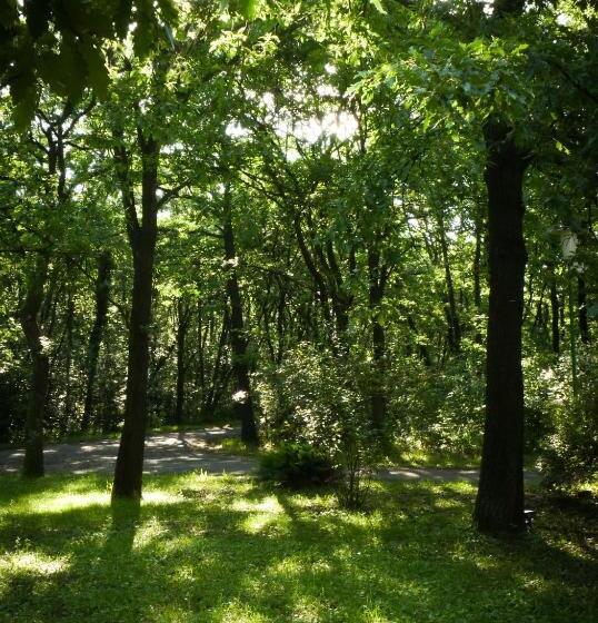 חדר סופריור עם נוף להרים, Zseri Vadászház