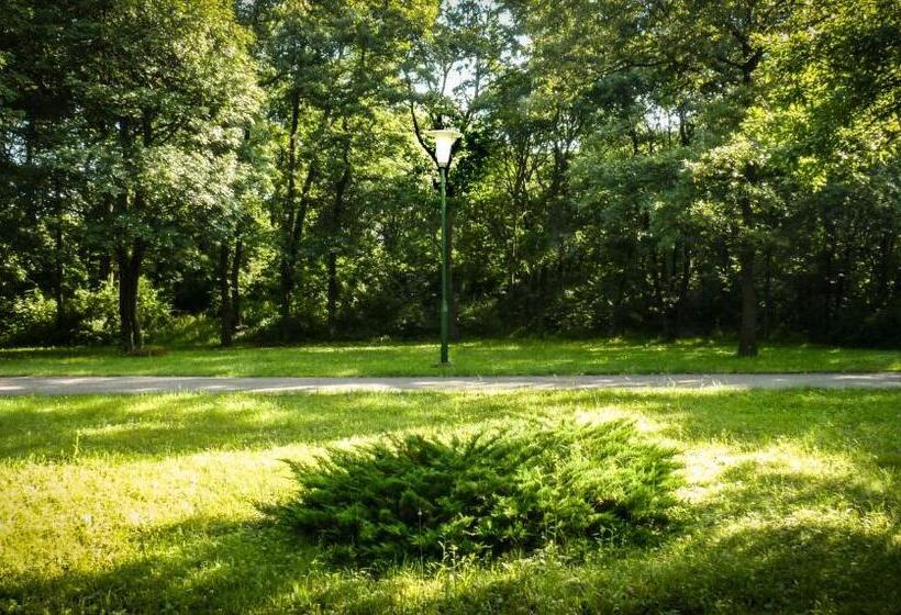 חדר סופריור עם נוף להרים, Zseri Vadászház