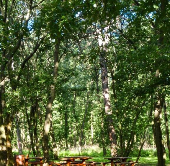 חדר סופריור עם נוף להרים, Zseri Vadászház