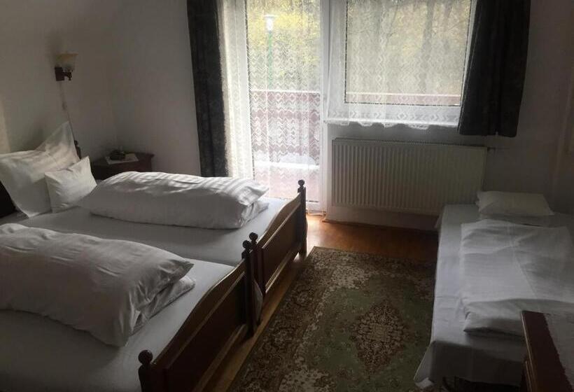 חדר סופריור עם נוף להרים, Zseri Vadászház