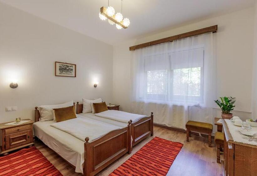 חדר סטנדרט מותאם לאדם עם מוגבלויות, Zseri Vadászház