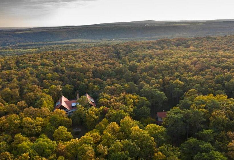 חדר סטנדרט מותאם לאדם עם מוגבלויות, Zseri Vadászház