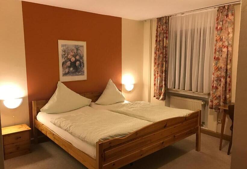 스탠다드 룸, Gasthaus Metzgerei Pension Maßem