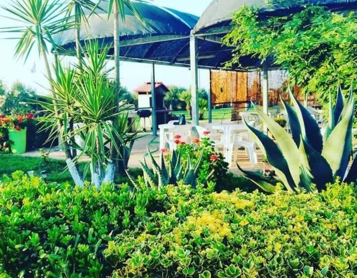 חדר סטנדרט, La Tenuta Del Passero