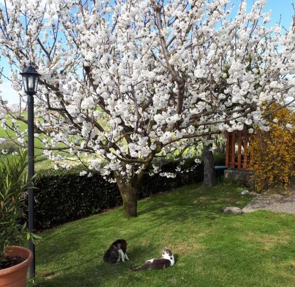 חדר לארבעה סטנדרטי עם נוף לגינה, Agriturismo Montorso