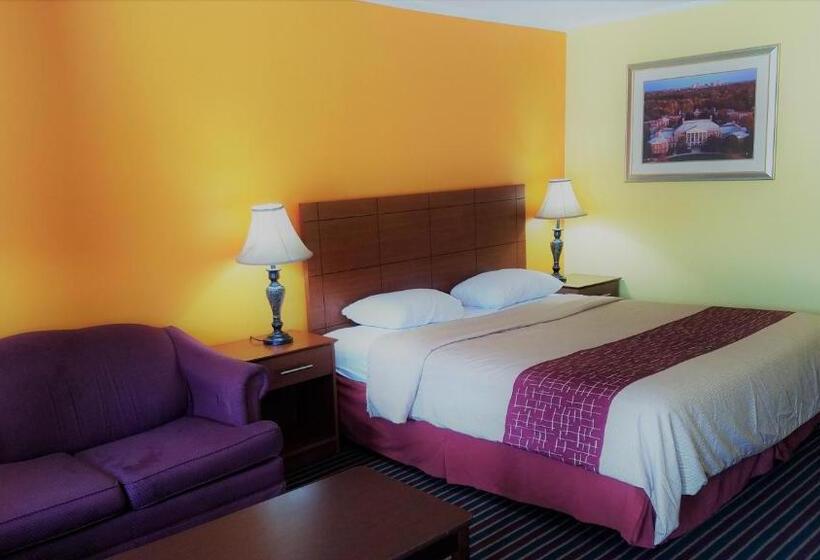 غرفة قياسية سرير كينج, Roadway Inn Troy