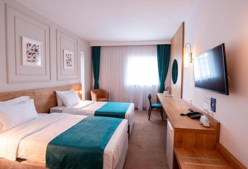 اتاق استاندارد, Stil