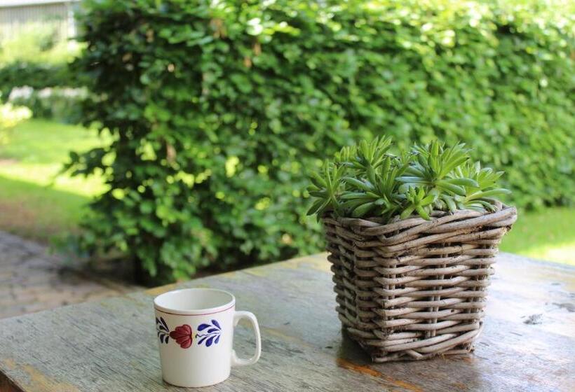 テラス付きスタンダードルーム, Erve Praestinck