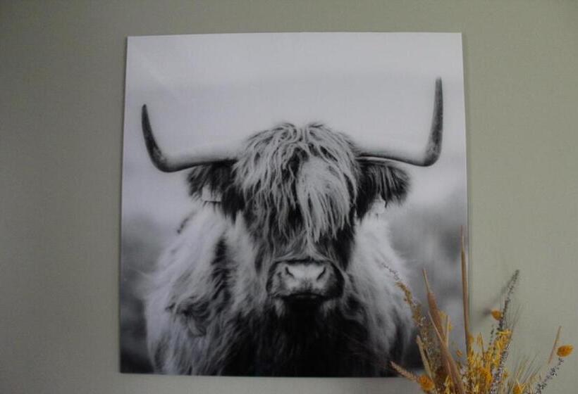 テラス付きスタンダードルーム, Erve Praestinck