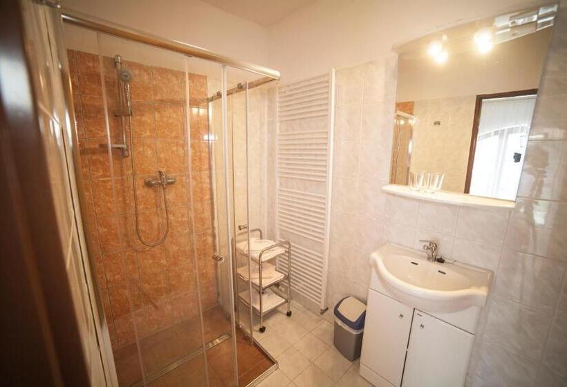 חדר סטנדרט עם טרסה, Fogl