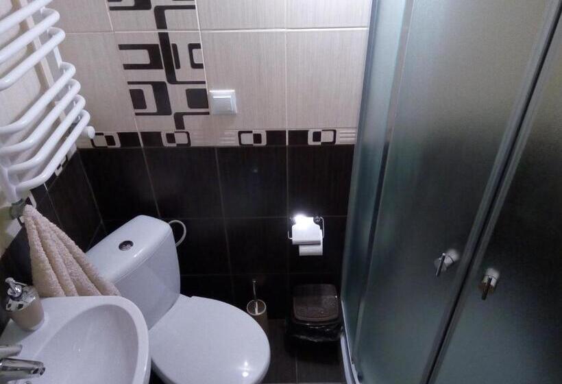 اتاق استاندارد با بالکن, Sadyba Lesivykh