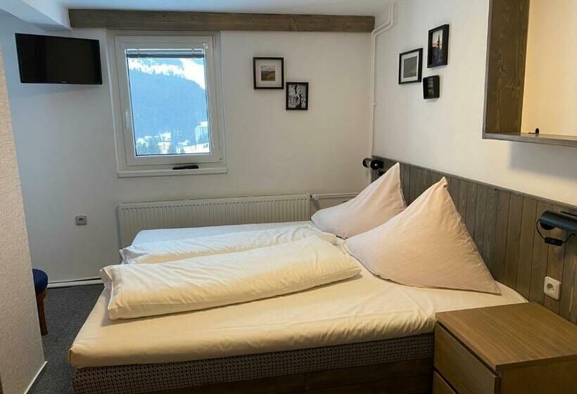 غرفة قياسية, Penzion Logla