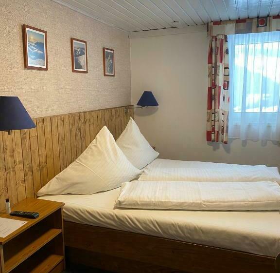 غرفة قياسية, Penzion Logla