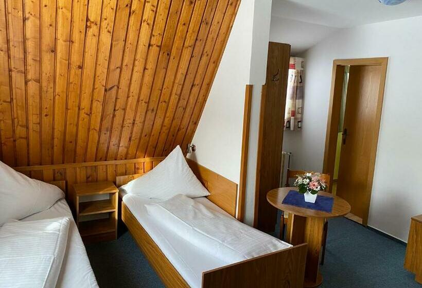 غرفة قياسية ثلاثية, Penzion Logla