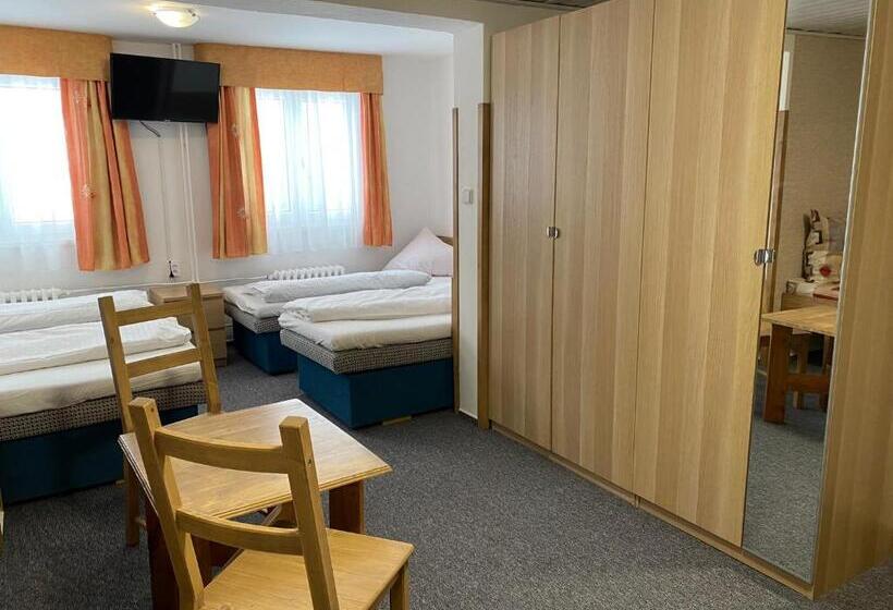 غرفة قياسية رباعية, Penzion Logla