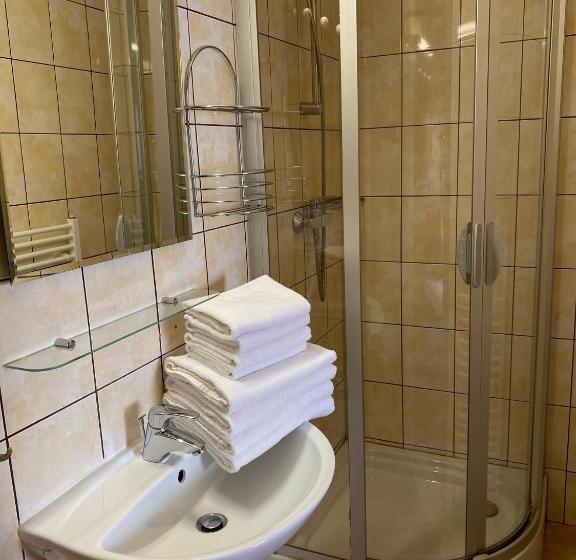 غرفة أساسية, Penzion Logla