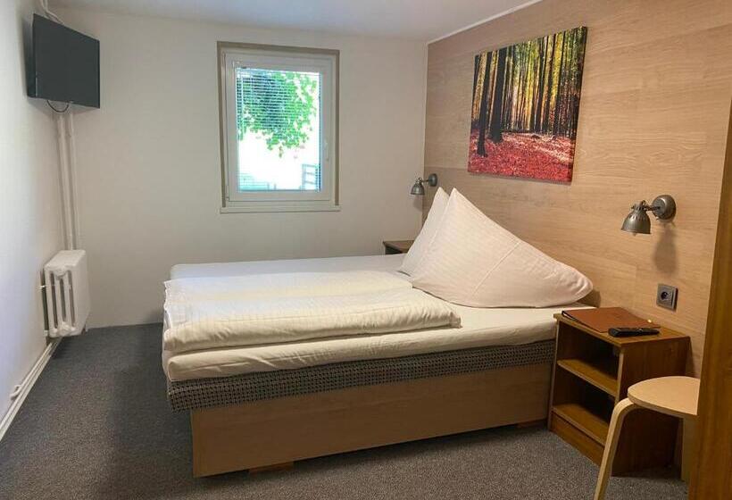 غرفة قياسية, Penzion Logla