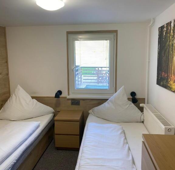 غرفة قياسية رباعية, Penzion Logla