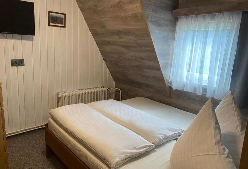 غرفة قياسية رباعية, Penzion Logla