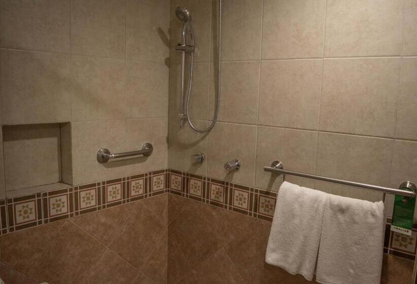 带大床的标准间, Es Villa Mercedes San Cristobal