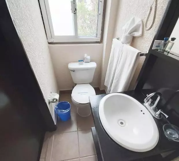 اتاق عادی یک تخته, Hi Hotel Impala Queretaro