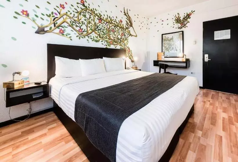 اتاق استاندارد با تخت بزرگ, Hi Hotel Impala Queretaro