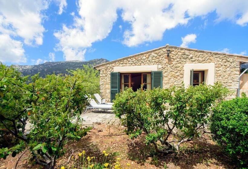 Полулюкс Одноместный с Террасой, Finca Hotel Son Palou