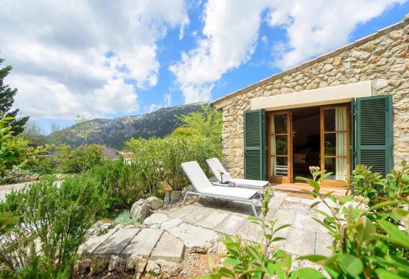 Полулюкс Одноместный с Террасой, Finca Hotel Son Palou