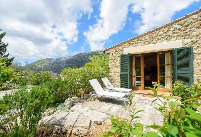 テラス付きジュニアスイート, Finca Hotel Son Palou