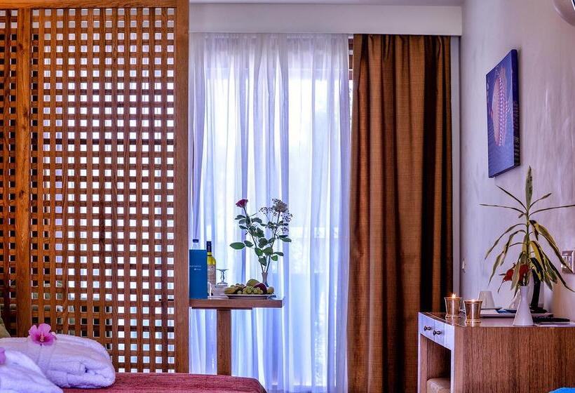 Полулюкс с Бассейном, Blue Sea Beach Affiliated by Melia