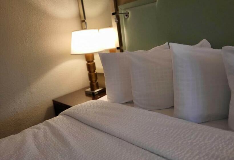 اتاق لوکس, Coco Key Hotel & Water Park Resort