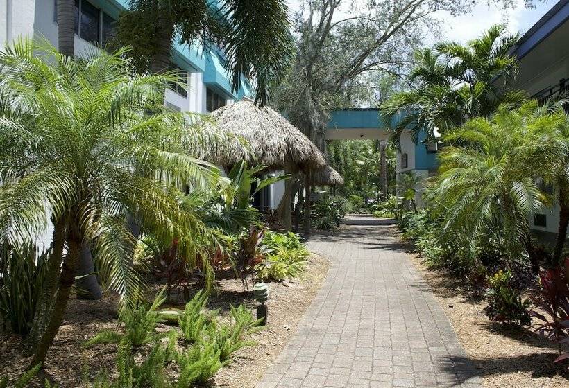 اتاق لوکس, Coco Key Hotel & Water Park Resort