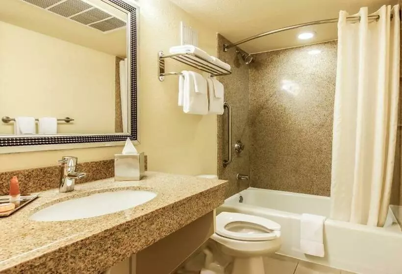 اتاق استاندارد با 2 تخت دوبل, Coco Key Hotel & Water Park Resort