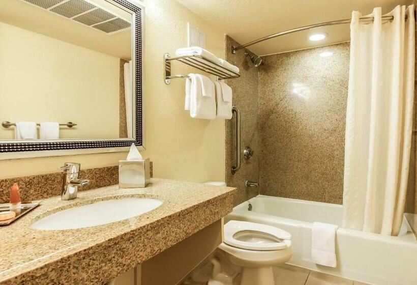 اتاق استاندارد با تخت دوبل, Coco Key Hotel & Water Park Resort