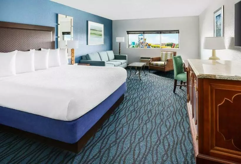 Single Deluxe Room