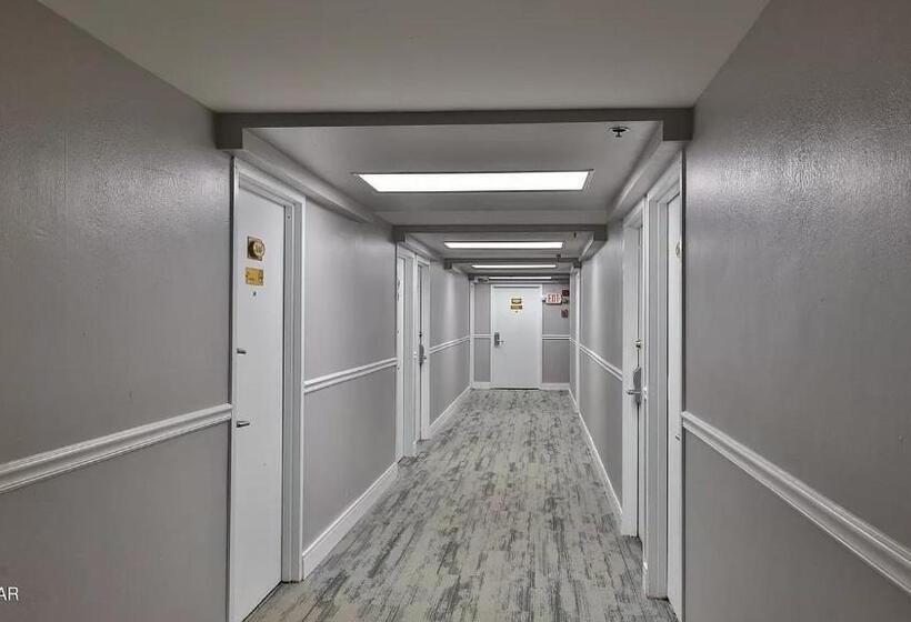 스탠다드 스튜디오 바다 전망, Beautiful Daytona Beach Oceanfront Condo