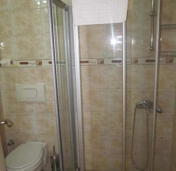 غرفة قياسية ثلاثية, Alican 1