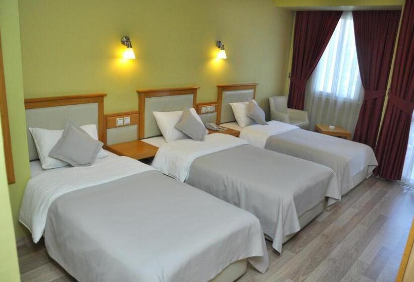 Triple Room Sea View, Doruk