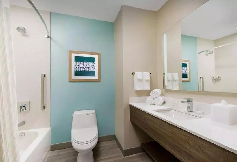 プールビュースイート, Fairfield By Marriott Inn & Suites Marathon Florida Keys