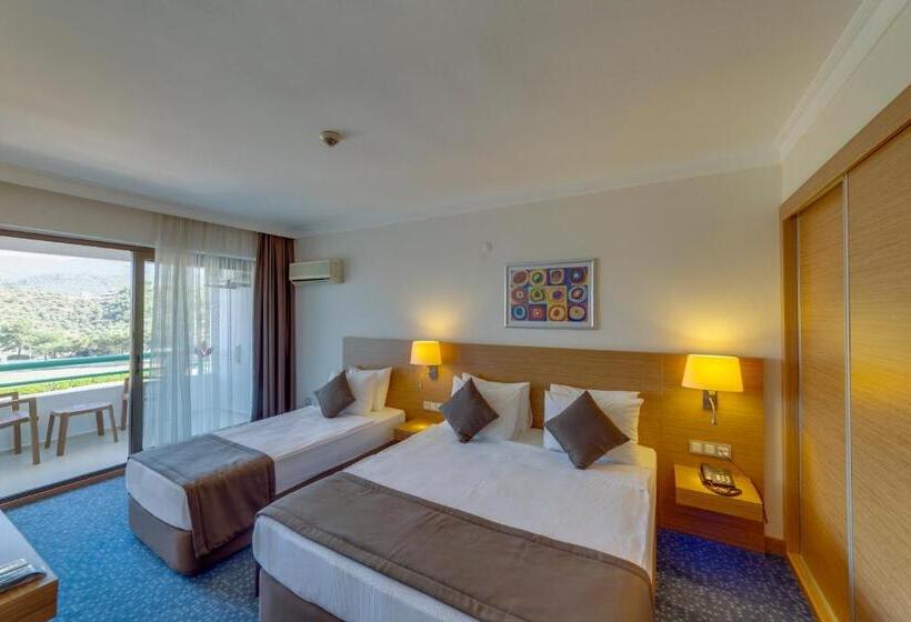 غرفة قياسية ذات إطلالة, Grand Efe